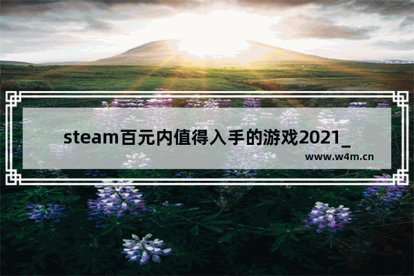 steam百元内值得入手的游戏2021_任天堂hori手柄和pro手柄区别