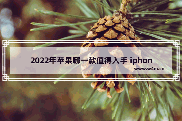 2022年苹果哪一款值得入手 iphone手机推荐买什么