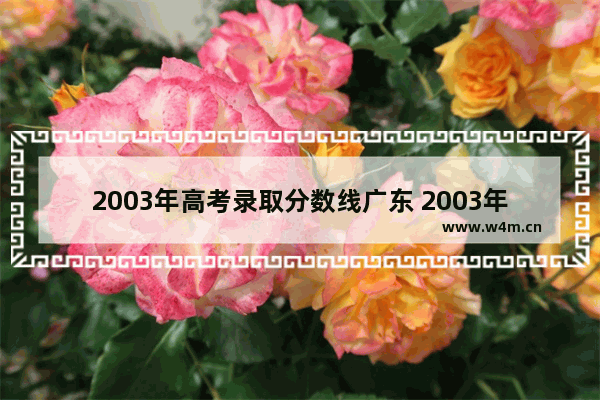 2003年高考录取分数线广东 2003年高考分数线低