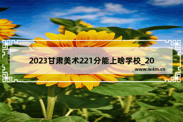 2023甘肃美术221分能上啥学校_2023甘肃美术220分文科361分能上什么学校