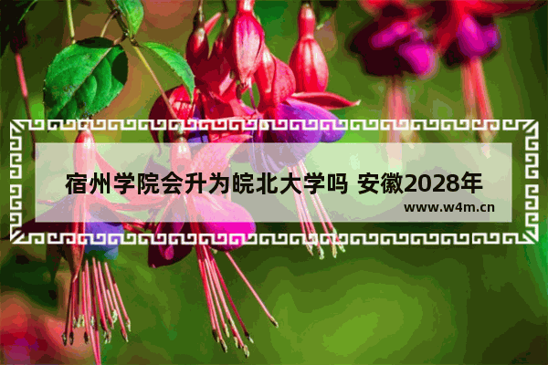 宿州学院会升为皖北大学吗 安徽2028年高考分数线