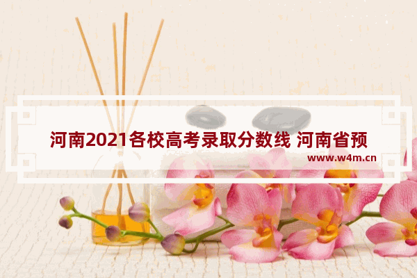 河南2021各校高考录取分数线 河南省预计高考分数线