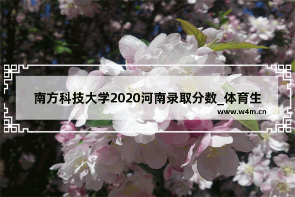 南方科技大学2020河南录取分数_体育生考深圳大学要多少分