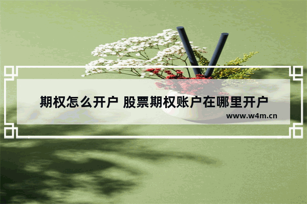 期权怎么开户 股票期权账户在哪里开户