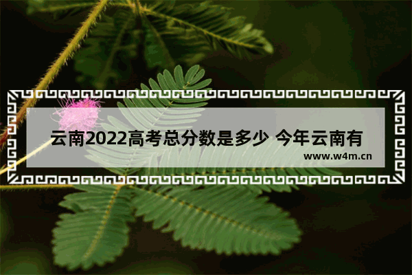 云南2022高考总分数是多少 今年云南有高考分数线吗