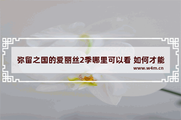 弥留之国的爱丽丝2季哪里可以看 如何才能看到最新电影呢