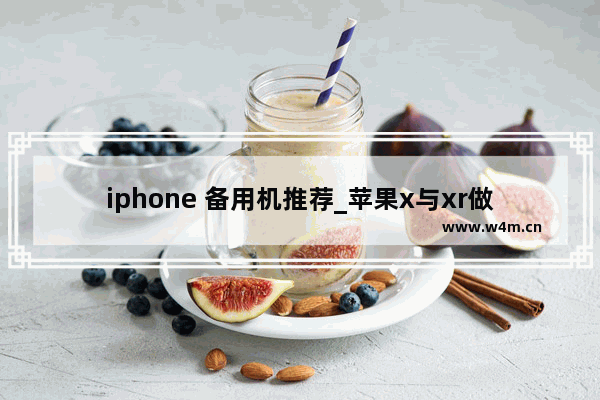 iphone 备用机推荐_苹果x与xr做备用机哪个好