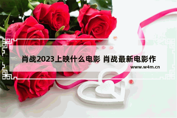 肖战2023上映什么电影 肖战最新电影作品有哪些好看