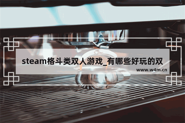 steam格斗类双人游戏_有哪些好玩的双人同屏steam游戏