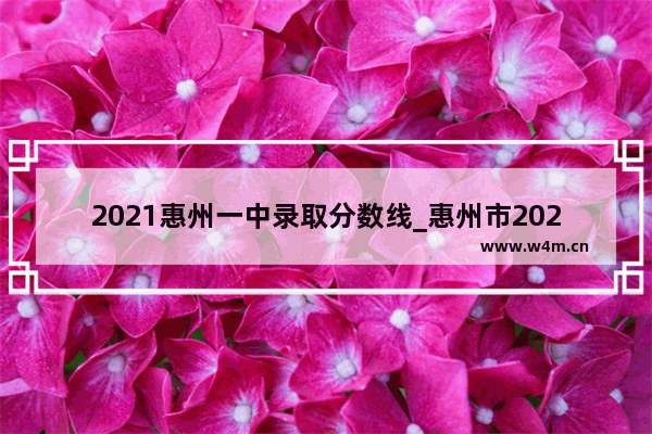 2021惠州一中录取分数线_惠州市2021预估中考录取分数线