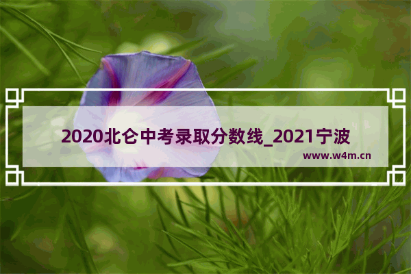 2020北仑中考录取分数线_2021宁波中考分数线