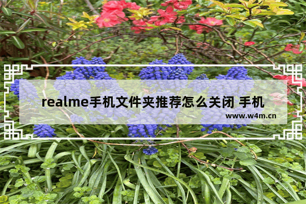 realme手机文件夹推荐怎么关闭 手机推荐应用怎么关掉呢苹果版