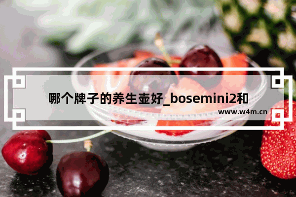 哪个牌子的养生壶好_bosemini2和大水壶哪个好