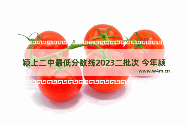 颍上二中最低分数线2023二批次 今年颍上二高考分数线