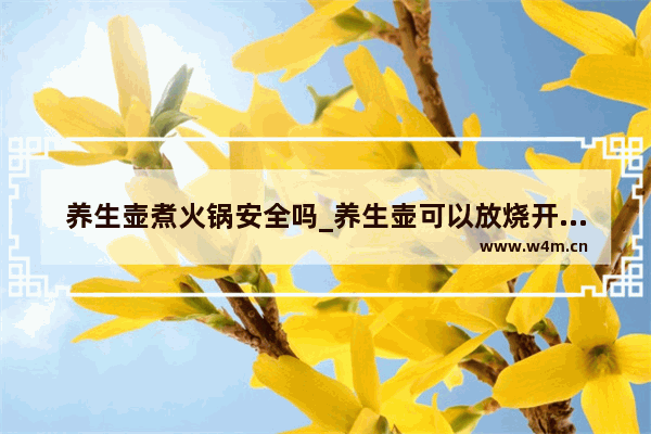 养生壶煮火锅安全吗_养生壶可以放烧开的水煮肉吗