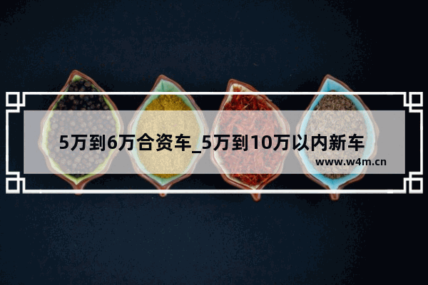 5万到6万合资车_5万到10万以内新车 手动挡