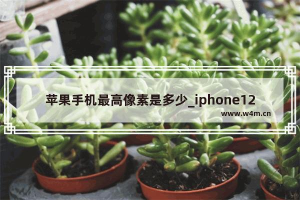 苹果手机最高像素是多少_iphone12 Promax和苹果13哪个像素好