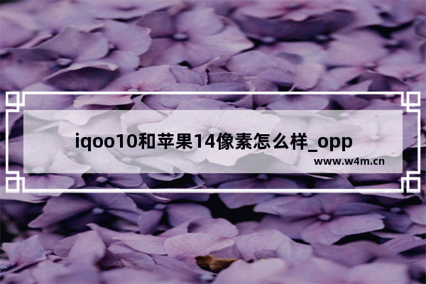 iqoo10和苹果14像素怎么样_oppoa72像素好还是苹果像素好