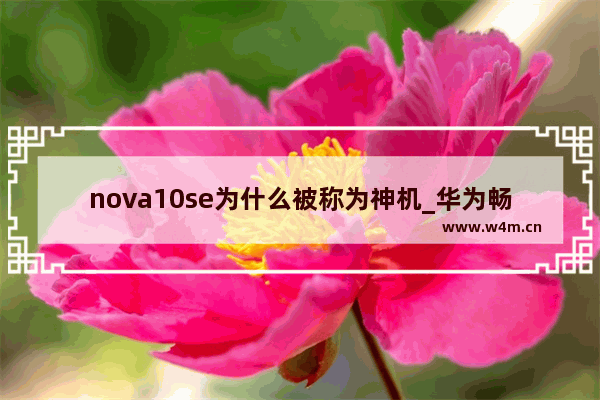 nova10se为什么被称为神机_华为畅享30PLus参数详细配置