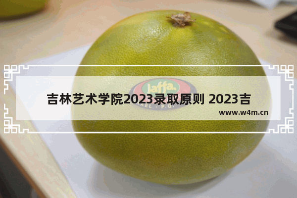 吉林艺术学院2023录取原则 2023吉林高考分数线预测美术