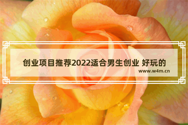 创业项目推荐2022适合男生创业 好玩的游戏推荐男生手游2022