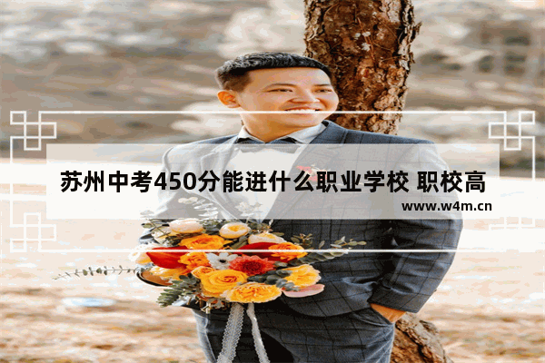 苏州中考450分能进什么职业学校 职校高考分数线平江县