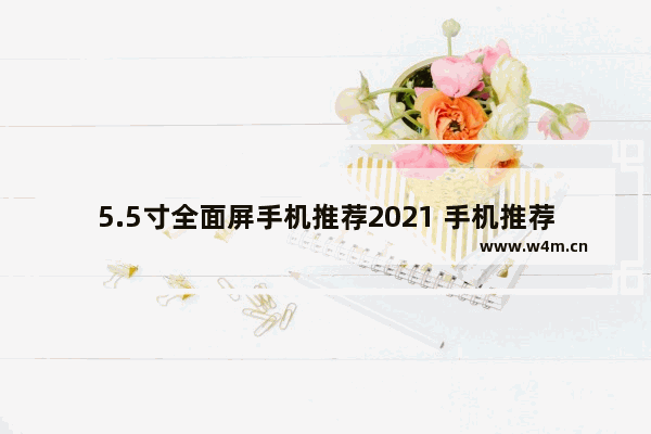 5.5寸全面屏手机推荐2021 手机推荐内存大像素高又好看新机