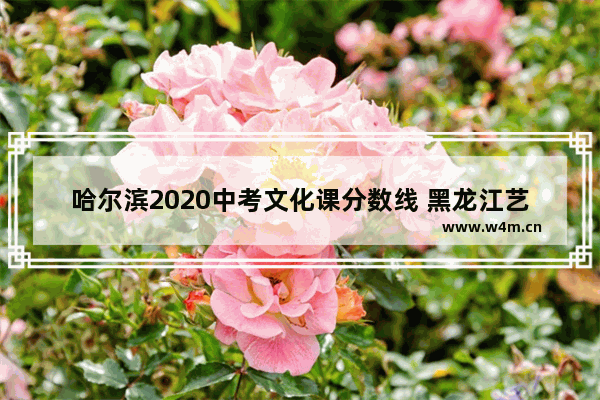 哈尔滨2020中考文化课分数线 黑龙江艺高考分数线