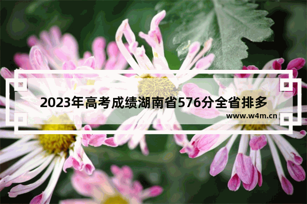 2023年高考成绩湖南省576分全省排多少多公布时间 湖南高考分数线啥时候发布