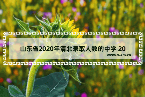 山东省2020年清北录取人数的中学 2020年清北高考分数线