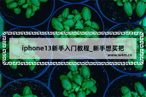 iphone13新手入门教程_新手想买把电吉他求推荐