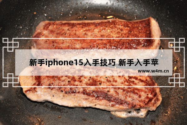 新手iphone15入手技巧 新手入手苹果手机推荐哪款