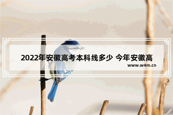 2022年安徽高考本科线多少 今年安徽高考分数线高么