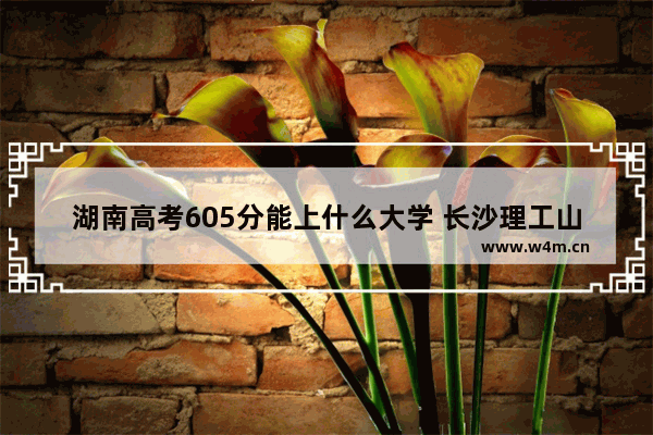 湖南高考605分能上什么大学 长沙理工山东新高考分数线