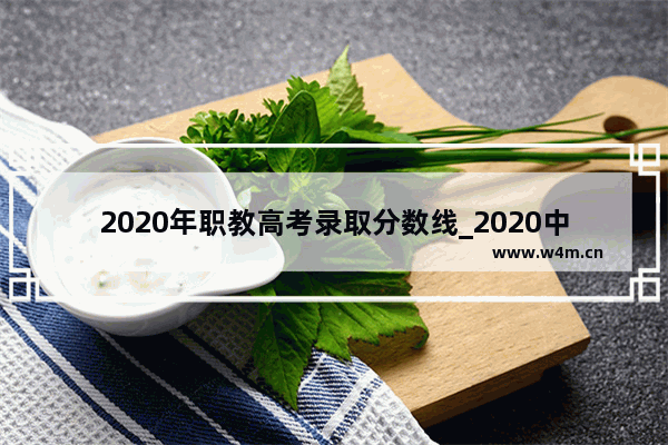 2020年职教高考录取分数线_2020中职高考录取分数线