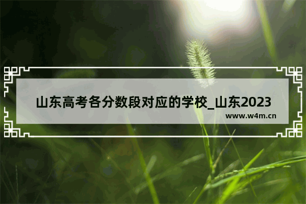 山东高考各分数段对应的学校_山东2023年高考648分属于什么水平