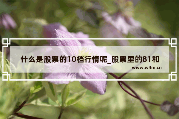 什么是股票的10档行情呢_股票里的81和83是什么意思