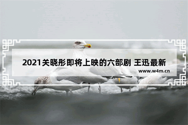 2021关晓彤即将上映的六部剧 王迅最新电影诈骗