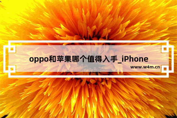 oppo和苹果哪个值得入手_iPhone 哪个手机玩和平精英比较好