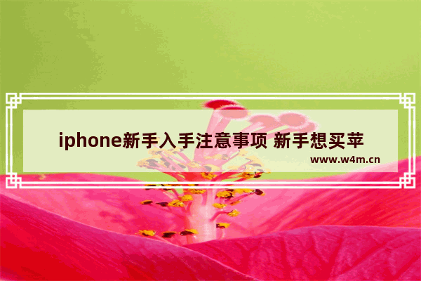 iphone新手入手注意事项 新手想买苹果手机推荐哪一款好一点