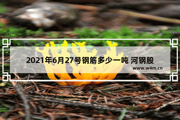 2021年6月27号钢筋多少一吨 河钢股票行情走势