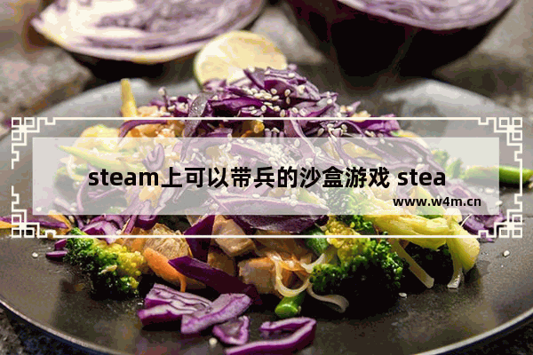 steam上可以带兵的沙盒游戏 steam沙盒类型游戏推荐