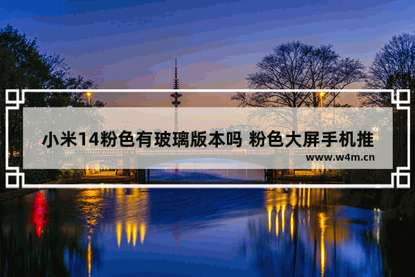 小米14粉色有玻璃版本吗 粉色大屏手机推荐哪款比较好用