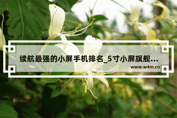 续航最强的小屏手机排名_5寸小屏旗舰手机推荐2021