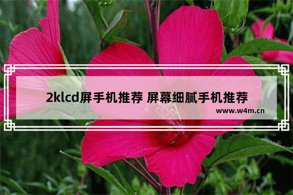 2klcd屏手机推荐 屏幕细腻手机推荐