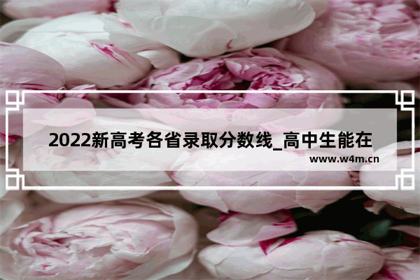 2022新高考各省录取分数线_高中生能在同省异地高考吗