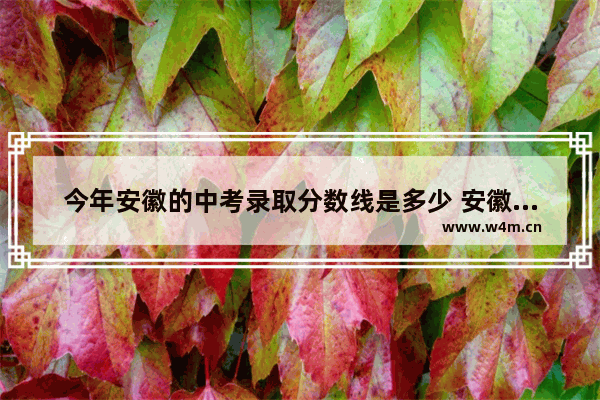 今年安徽的中考录取分数线是多少 安徽民办高考分数线是多少