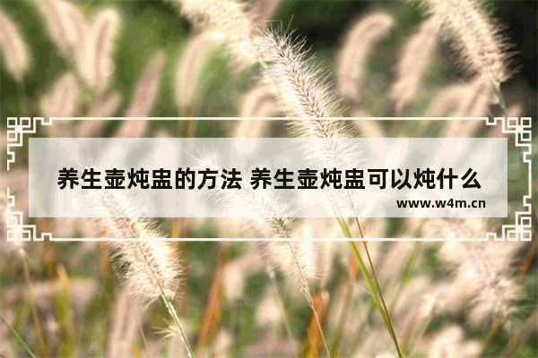 养生壶炖盅的方法 养生壶炖盅可以炖什么