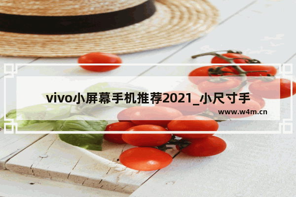 vivo小屏幕手机推荐2021_小尺寸手机推荐便宜又好用