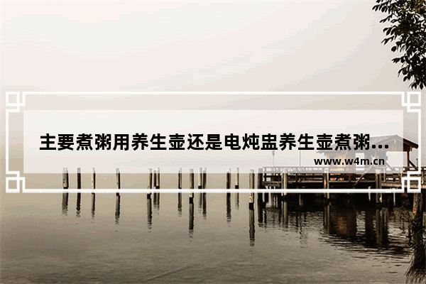 主要煮粥用养生壶还是电炖盅养生壶煮粥好喝吗_养生壶炖盅使用方法